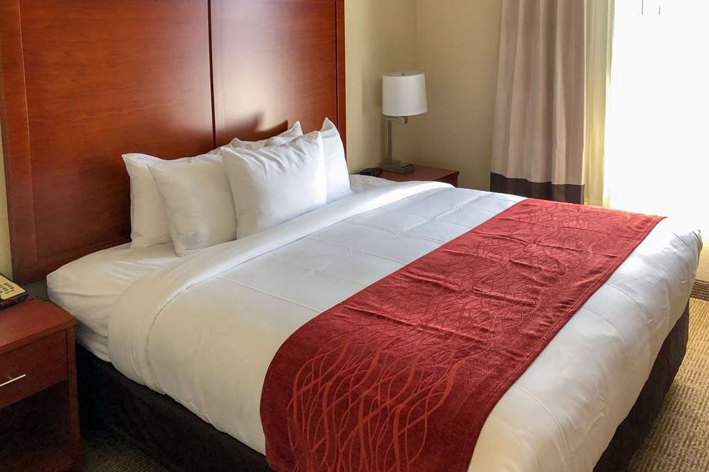 Comfort Inn & Suites Nashville Franklin Cool Springs Стая снимка